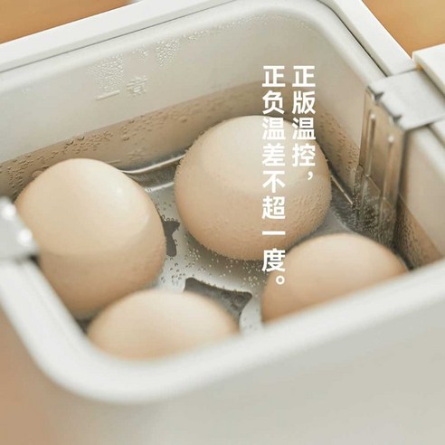 1인 가구, 캠핑을 위한 완벽한 동반자, 미니찜기!