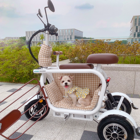 이디뚜뚜 스쿠터 방석 세트: 사랑하는 반려동물과의 안전하고 따뜻한 라이딩을 위한 완벽한 선택 이디뚜뚜