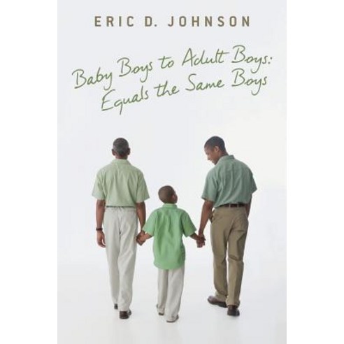 (영문도서) Baby Boys to Adult Boys Paperback, Wordzworth Publishing, English, 9781783241002
