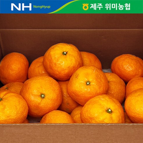 브랜드없음 제주 위미농협 감귤 카라향 5kg(18-36과 내외), 단품없음