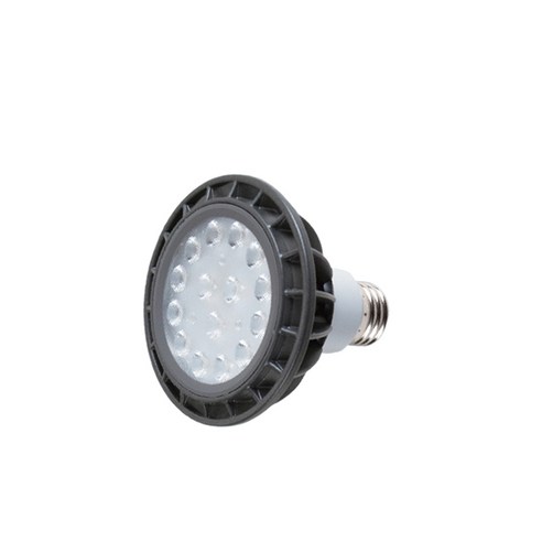 라인라이팅 LED 파30램프 15W PAR30 확산형 집중형, C_PAR30 확산형 주백색(아이보리빛) 20개