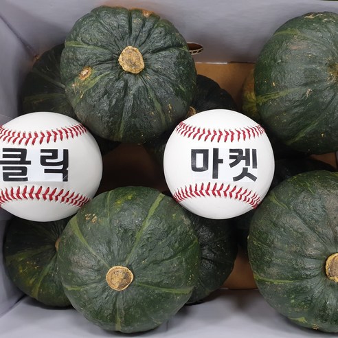 클릭마켓 제주 미니 밤호박 단호박 3kg, 1개