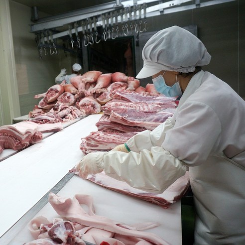 정성껏 기른 국내산 한돈으로 만드는 맛있는 제육볶음