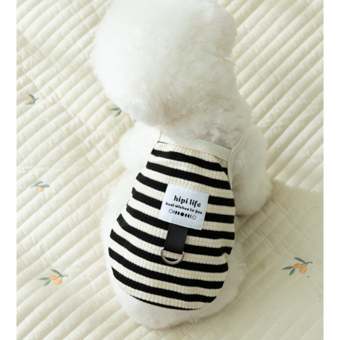 세련된 강아지 옷으로 시원하게 여름을 보내보세요.