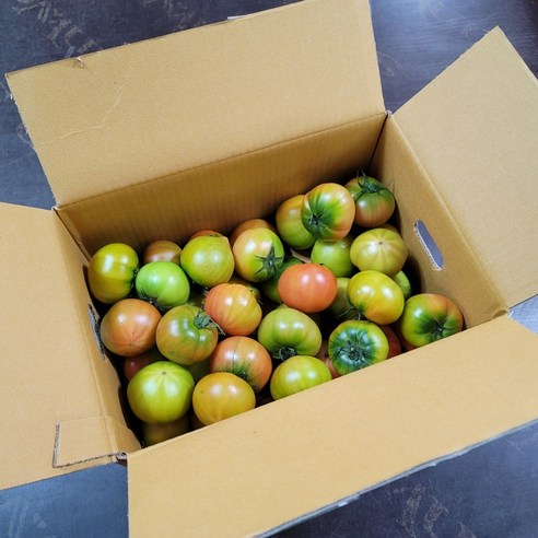 대저 짭짤이토마토 2.5kg, 그냥 대저토마토 소과(S~2S), 1박스