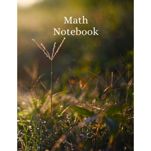 Math Notebook: 120 pages math notebook quad ruled workbook 8.5 x 11 inch large soft cover journal... Paperback, Radu Eugen Vais, English, 9781716193491