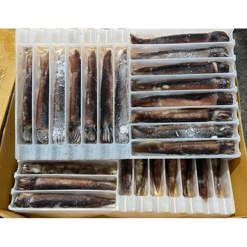 국내 청정해역에서 직접 잡아 올린 신선한 초콜릿 오징어