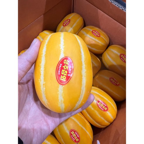 신선하고 달콤한 성주 참외를 직접 산지에서 tận hưởng하세요!