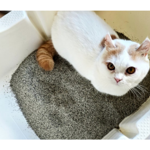 고양이의 건강을 지키는 천연 고양이 모래