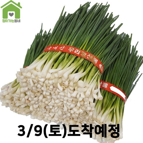 국내산 깐쪽파 쪽파 파 1단 (약1Kg), 1kg, 1개