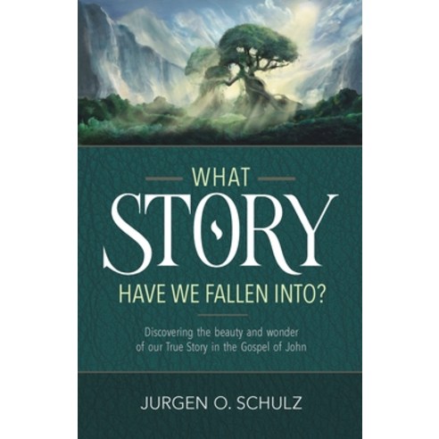 (영문도서) What Story Have We Fallen Into? Paperback, Jurgen Schulz, English, 9781777849603
