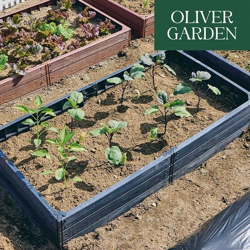 도시 정원의 꿈, 올리버정원 플랜트박스로 현실로!