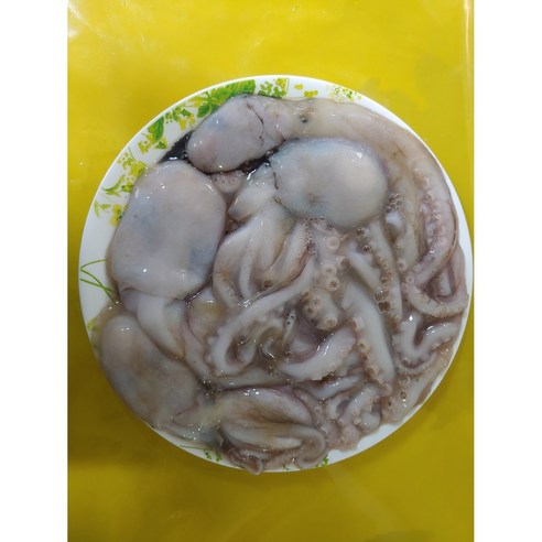 신선한 급냉 활낙지로 맛있는 요리를 즐기자