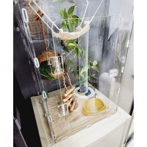 작지만 확실한 행복, 펫앤홈 게코 도마뱀 아크릴 사육장으로 시작하세요!