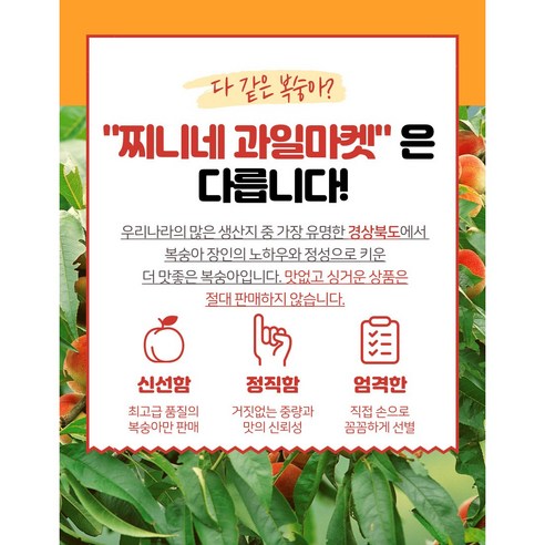 달콤하고 신선한 고품질 신비 복숭아