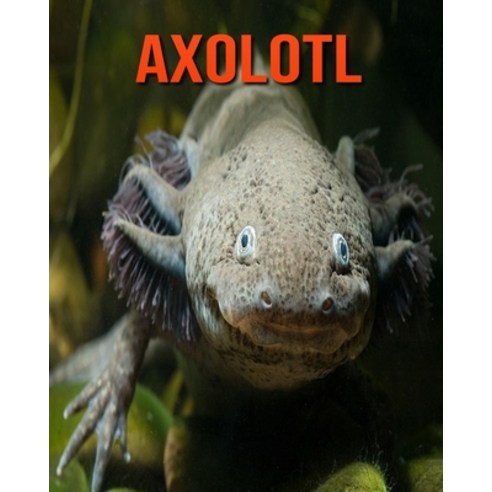Axolotl: Learn About Axolotl and Enjoy Colorful Pictures Paperback, Independently Published, English, 9798693735866