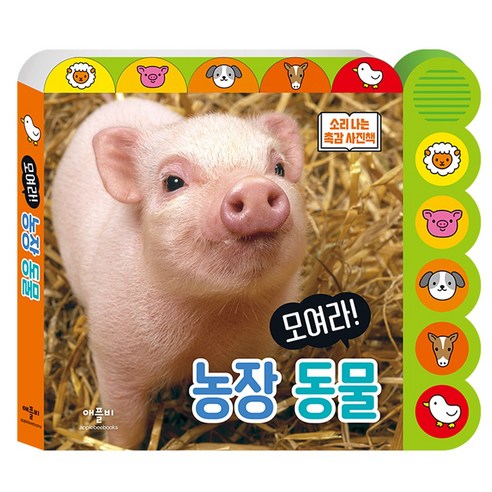 변신 · 시골 의사(완역본), 프란츠 카프카, 올리버 동물농장책 10 (애플비) 모여라 농장동물 (재정가)