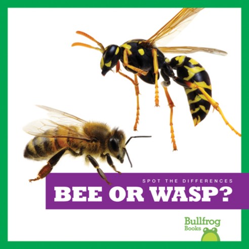 (영문도서) Bee or Wasp? Paperback, Bullfrog Books, English, 9781636903385
