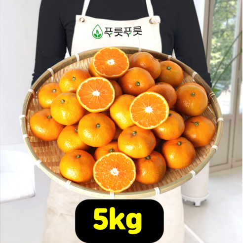 푸릇푸릇 2022년 귤 제주 감귤 한라봉 제주도귤 노지감귤 극조생귤 5kg 10kg, 제주감귤 L사이즈 5kg, 1개