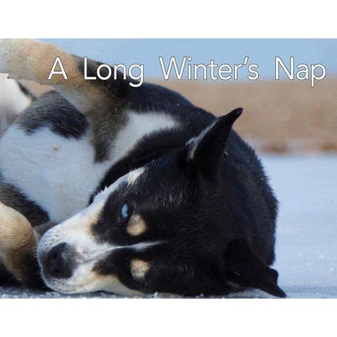 A Long Winter''s Nap Paperback, Dog Park Dreams