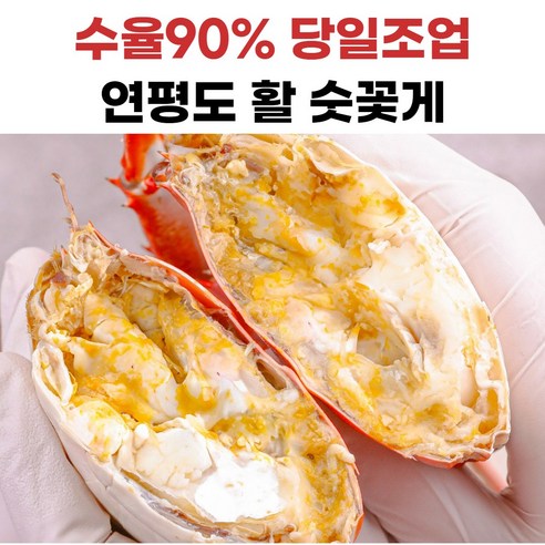 연평도 숫꽃게 살수율90%이상, 1개, 5kg