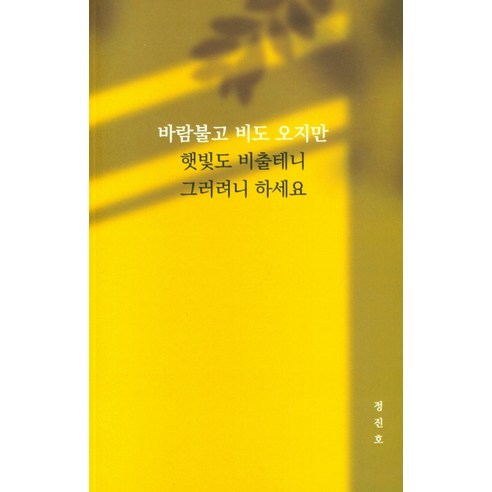 바람불고 비도 오지만 햇빛도 비출테니 그러려니 하세요, 비전사