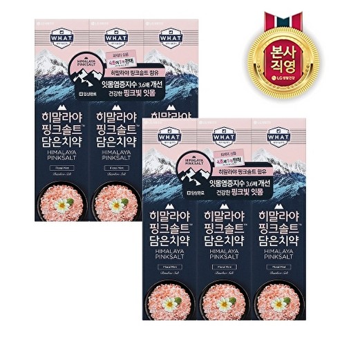 LG생활건강 히말라야핑크솔트 치약 플로럴민트 100g x 6개