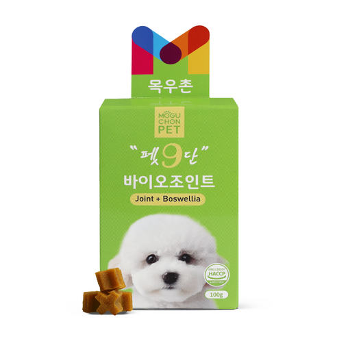 강아지의 관절 건강을 위한 필수 영양제