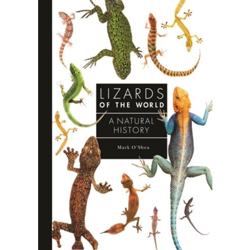 Lizards Of The World: A Natural History Hardcover, Princeton University ...