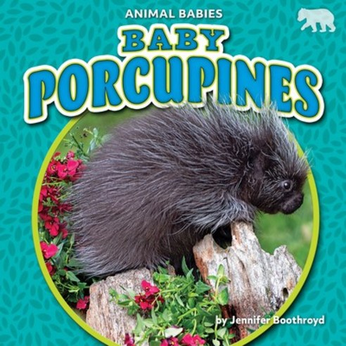 Baby Porcupines Paperback, Bearcub Books, English, 9781647474799