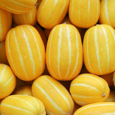 달찐과일 당도선별 성주 꿀 참외 가정용/선물용/못난이 1kg 외, 1개