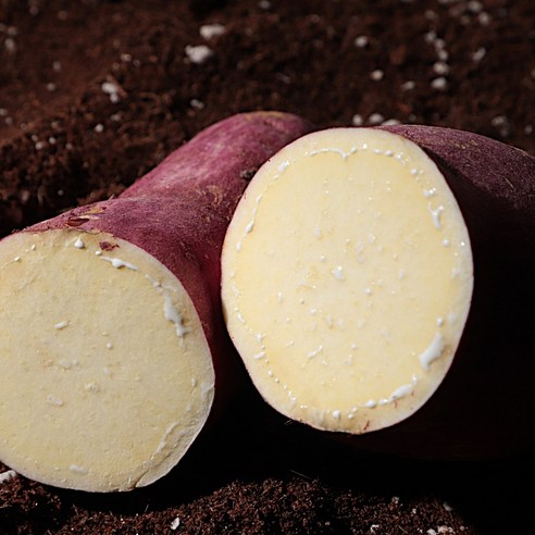 자연의 진한 맛을 간편하게 즐길 수 있는 해남 꿀고구마