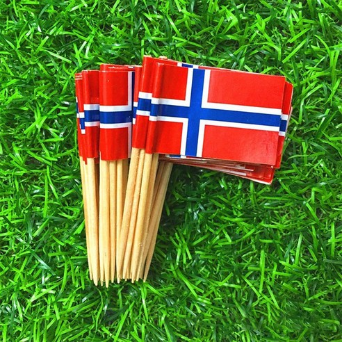 TeeFly 100 PCS National Flags Picks Art Toothpicks 파티 컵케익 장식 샌드위치 미니 음식, 노르웨이 100.