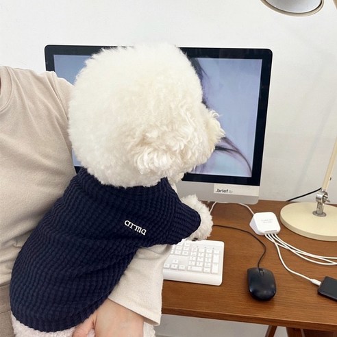 지엠앤 반려동물 와플 티셔츠, 네이비