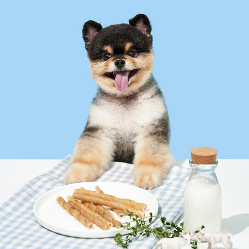 페스룸 밀키츄: 맛과 건강을 모두 담은 반려견 최고의 간식 선택