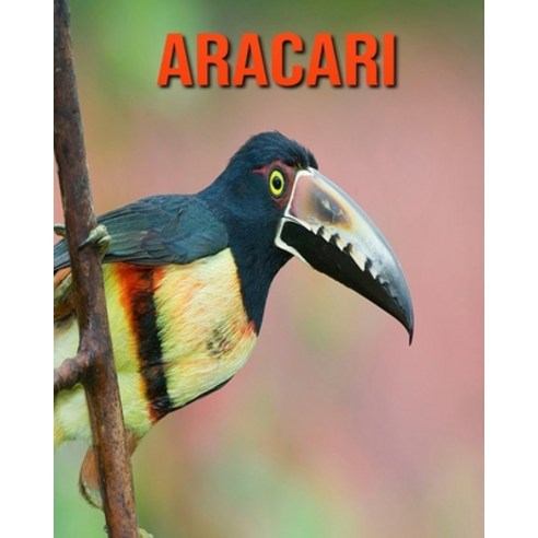Aracari: Amazing Facts about Aracari Paperback, Independently Published, English, 9798693572263