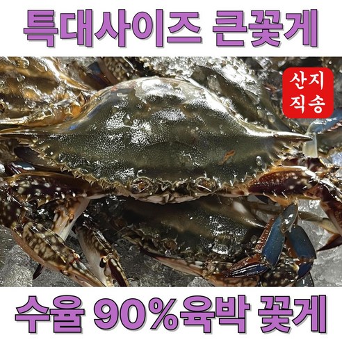 신속발송 산지직송 국내산 제철 꽃게, 1개, 당일조업 숫꽃게 5kg