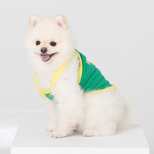 귀여운 곰 세마리가 살아있는 강아지 옷