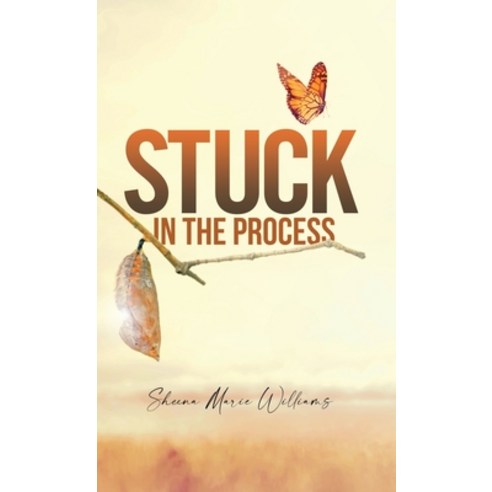 (영문도서) Stuck in The Process Hardcover, Logos Publications, English, 9798218963491