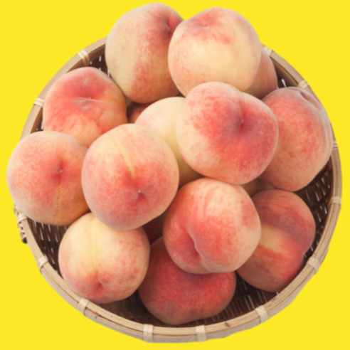 영동 하우스 복숭아 초극천 대극천 황도 백도, 1개, 1kg