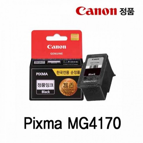 인쇄의 짜릿함, 캐논 PIXMA MG4170 정품 잉크 검정
