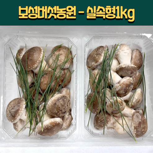 [븟븟] 보성버섯농원 송화고 송고 송화버섯 (실속형) 1kg - 송화버섯 | 쿠팡