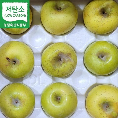 GAP 저탄소인증 산지직송 경북 영주 시나노골드 사과 못난이사과 흠과 2.5kg (11~16과 내외), 1박스