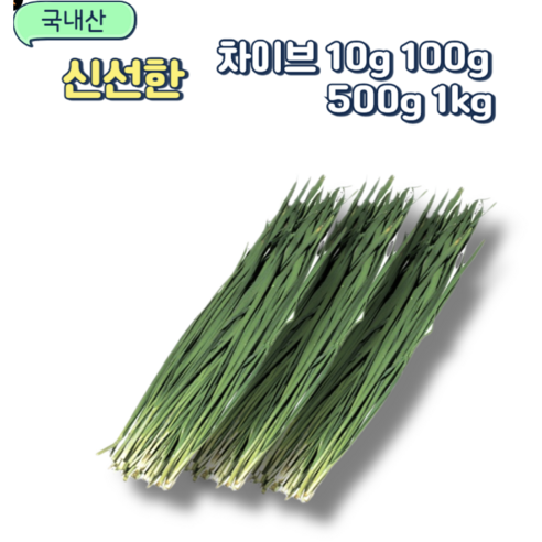 국내산 차이브 허브 chives 10g 100g 500g 1kg, 500g, 1세트 - 채소류 | 쿠팡
