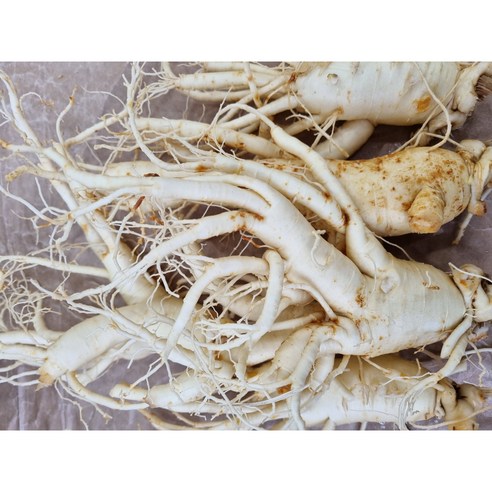 홍삼용 6년근 황 특대 풍기인삼 1000g,4-7뿌리) 750g,4-6뿌리) 500g,3-3뿌리), 황특대난발 세척택배 무료 6년근