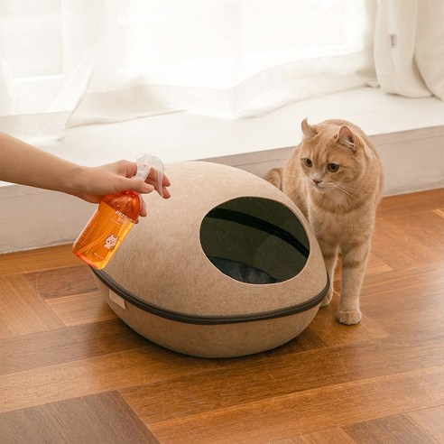 펫쉴드 항균 탈취 고양이 스프레이 본품, 300ml, 1개