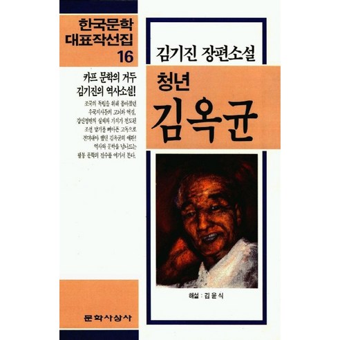 청년 김옥균(한국문학대표작선집 16), 문학사상사, 김기진