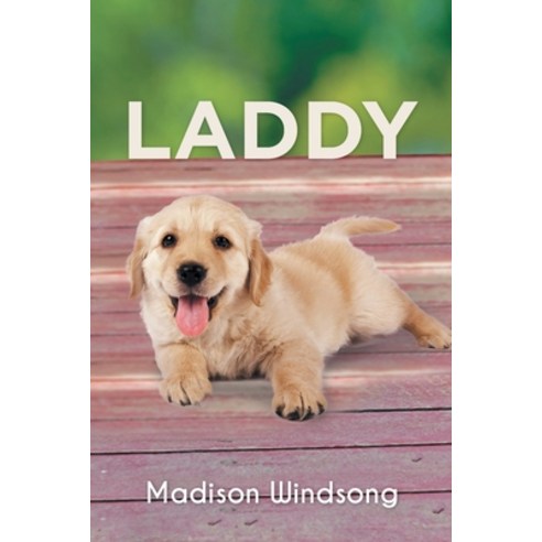 Laddy Paperback, Covenant Books, English, 9781646707409