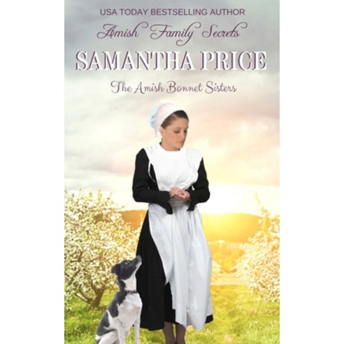 Amish Family Secrets: Amish Romance Paperback, Independently Published