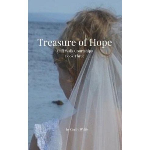 (영문도서) Treasure of Hope Paperback, Independently Published, English, 9781730934728
